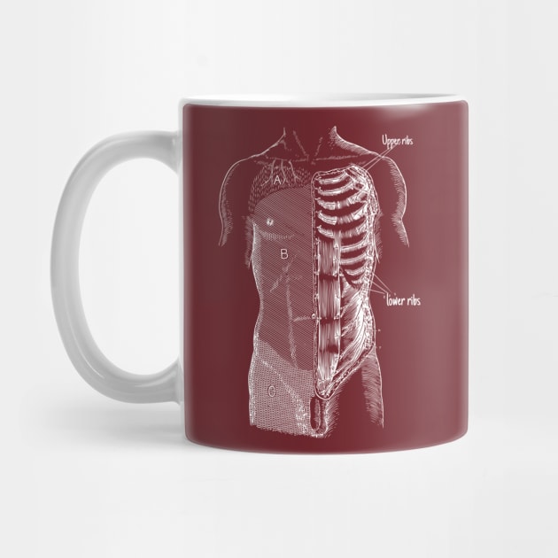 Anatomy by Blind Man Studio